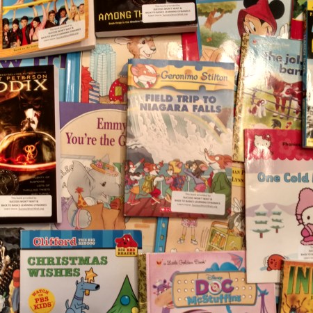 Richardson Park School Books, Success Won't Wait